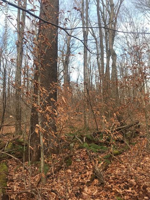 Dix Road Pleasant Mount, PA 18453 - Photo 2 of 6 IMG_3792