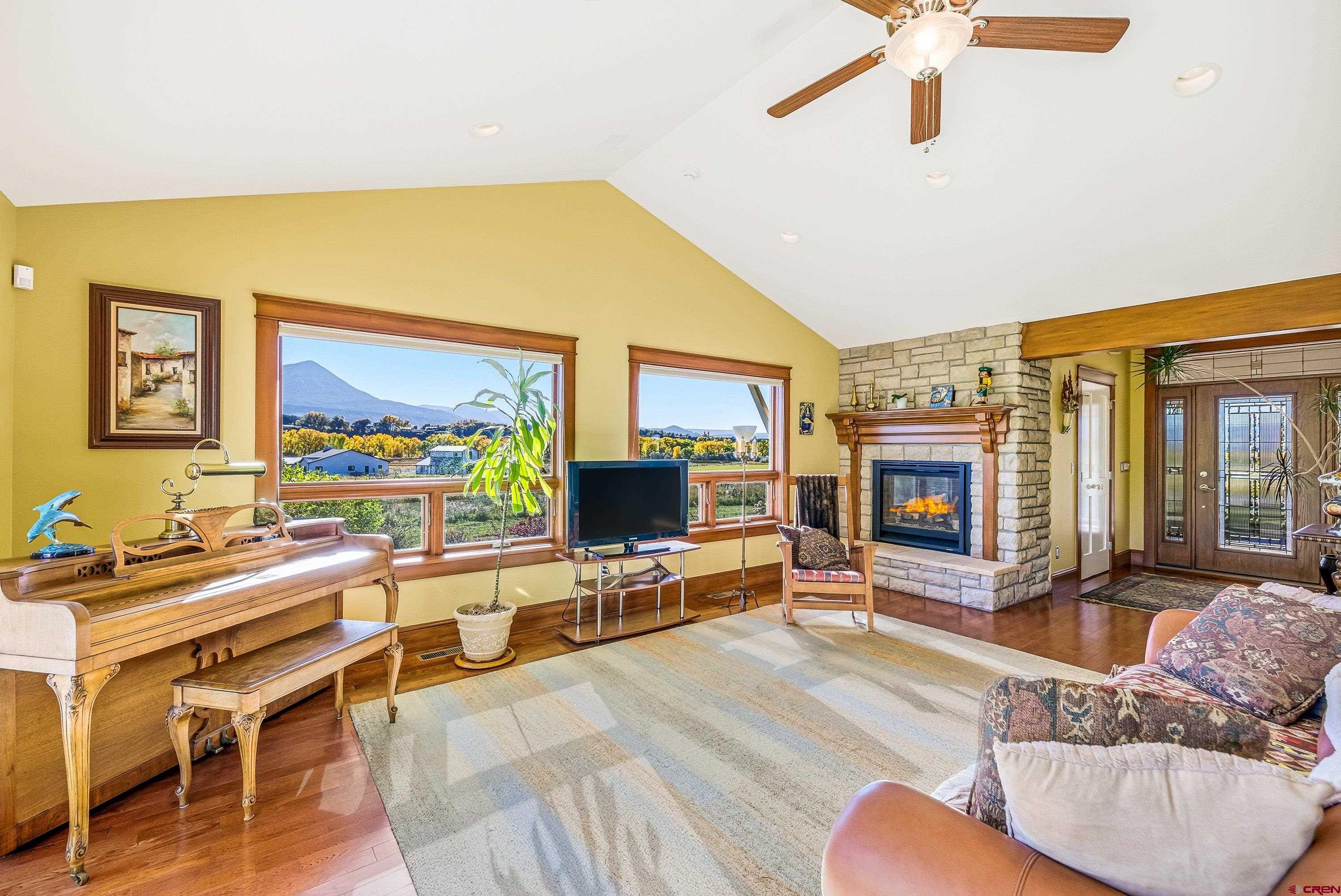 36639 M50 Road Hotchkiss, CO 81419 - Photo 18 of 45 a living room with fireplace furniture and a flat screen tv