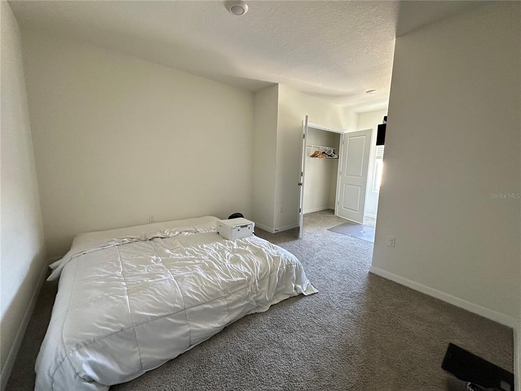 16641 Grotto Steam Place Wimauma, FL 33598 - Photo 15 of 17 a bedroom with a bed and closet