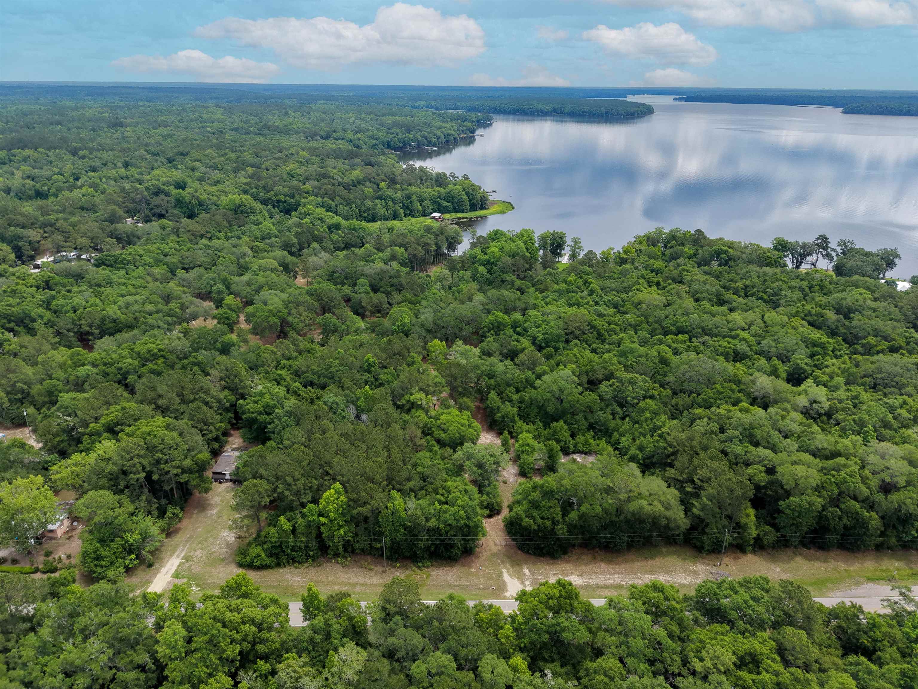 4013 McCall Bridge Road Quincy, FL 32351 - Photo 25 of 37