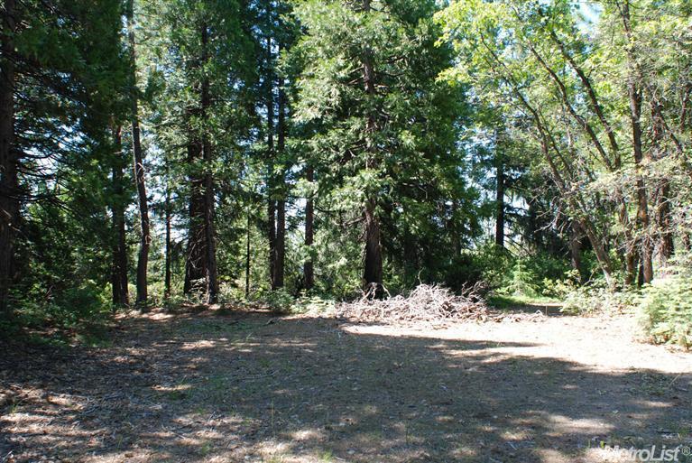 0 Kearsarge Mill Road Alta, CA 95701 - Photo 1 of 9 possible building site