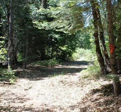 $500,000 | 0 Kearsarge Mill Road, Alta, CA 95701