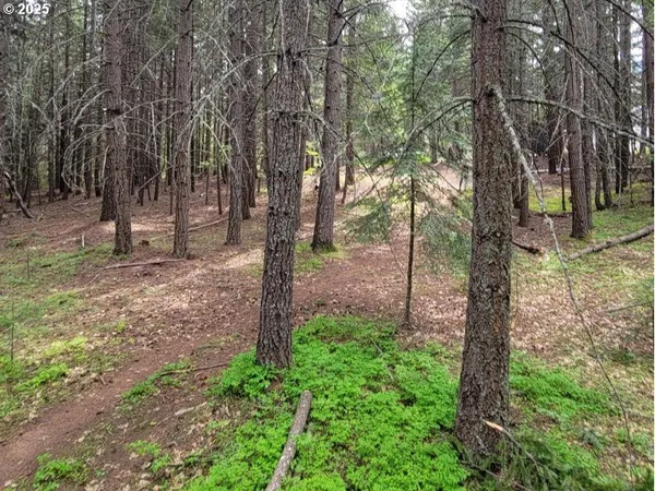 $130,000 | 17 Canyon Loop Road, Lyle, WA 98635