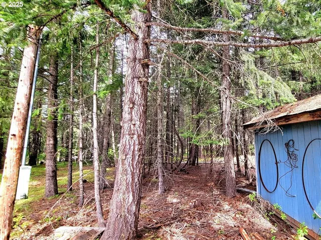 a view of an outdoor space