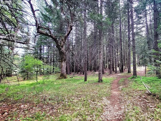 a view of park space