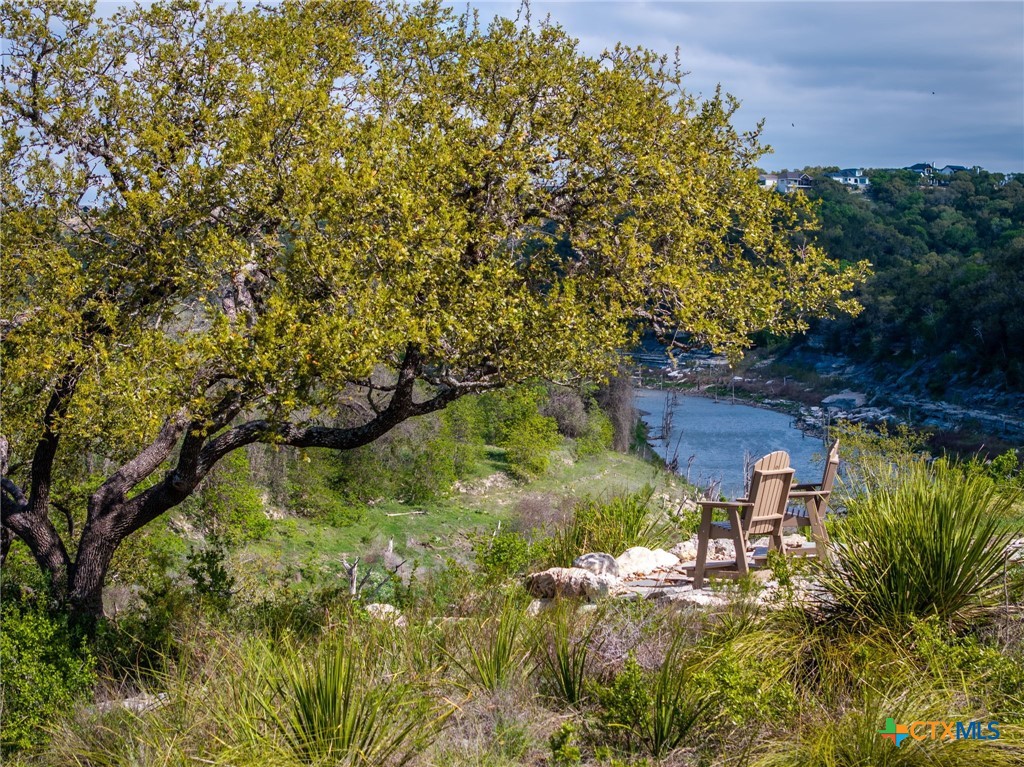 371 River Cliff Place Spring Branch, TX 78070 - Photo 14 of 38