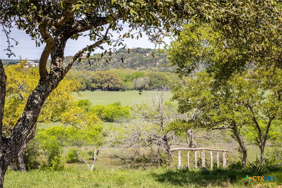 371 River Cliff Place Spring Branch, TX 78070 - Photo 37 of 38
