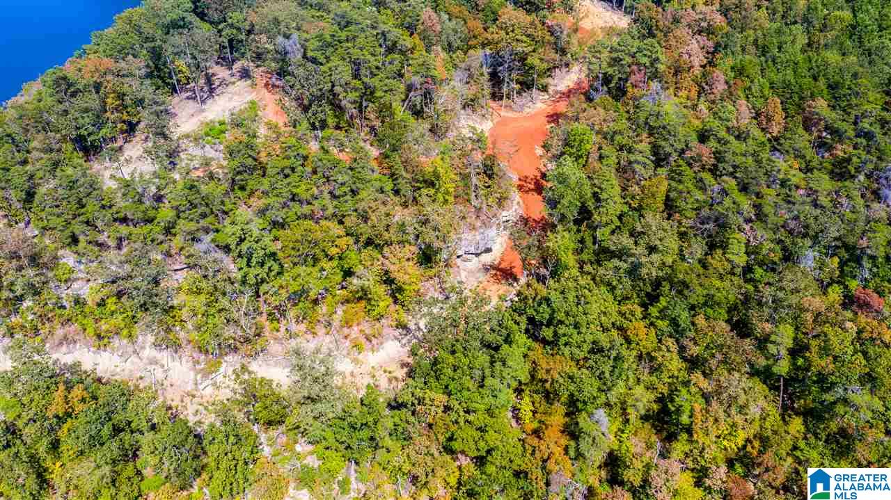 0 County Road 297 Cullman, AL 35057 - Photo 43 of 48