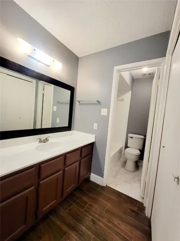 a bathroom with a sink a toilet and mirror