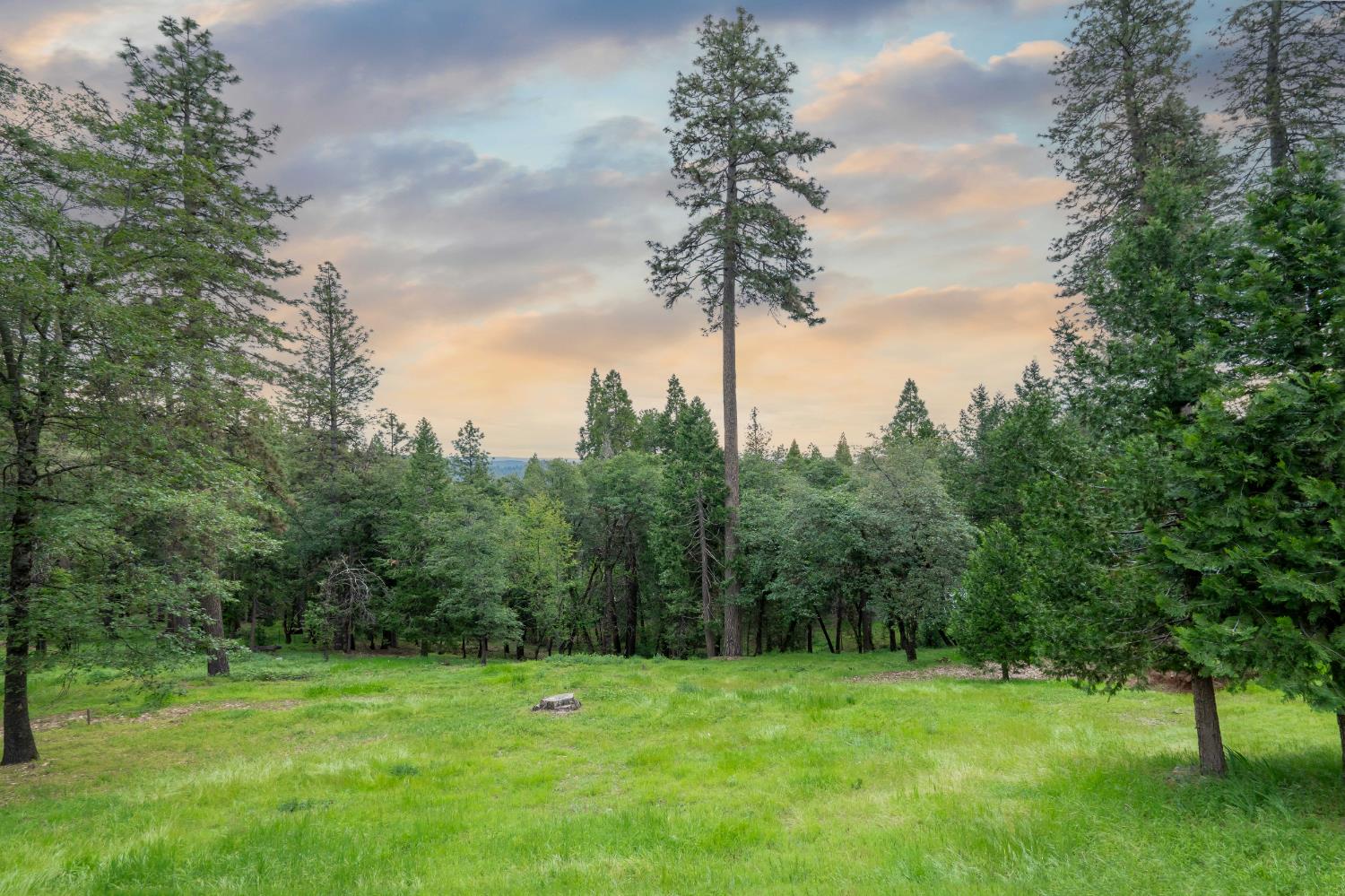 10340 Banner Lava Cap Road Nevada City, CA 95959 - Photo 24 of 98