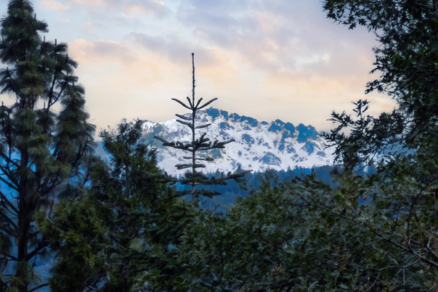 10340 Banner Lava Cap Road Nevada City, CA 95959 - Photo 25 of 98