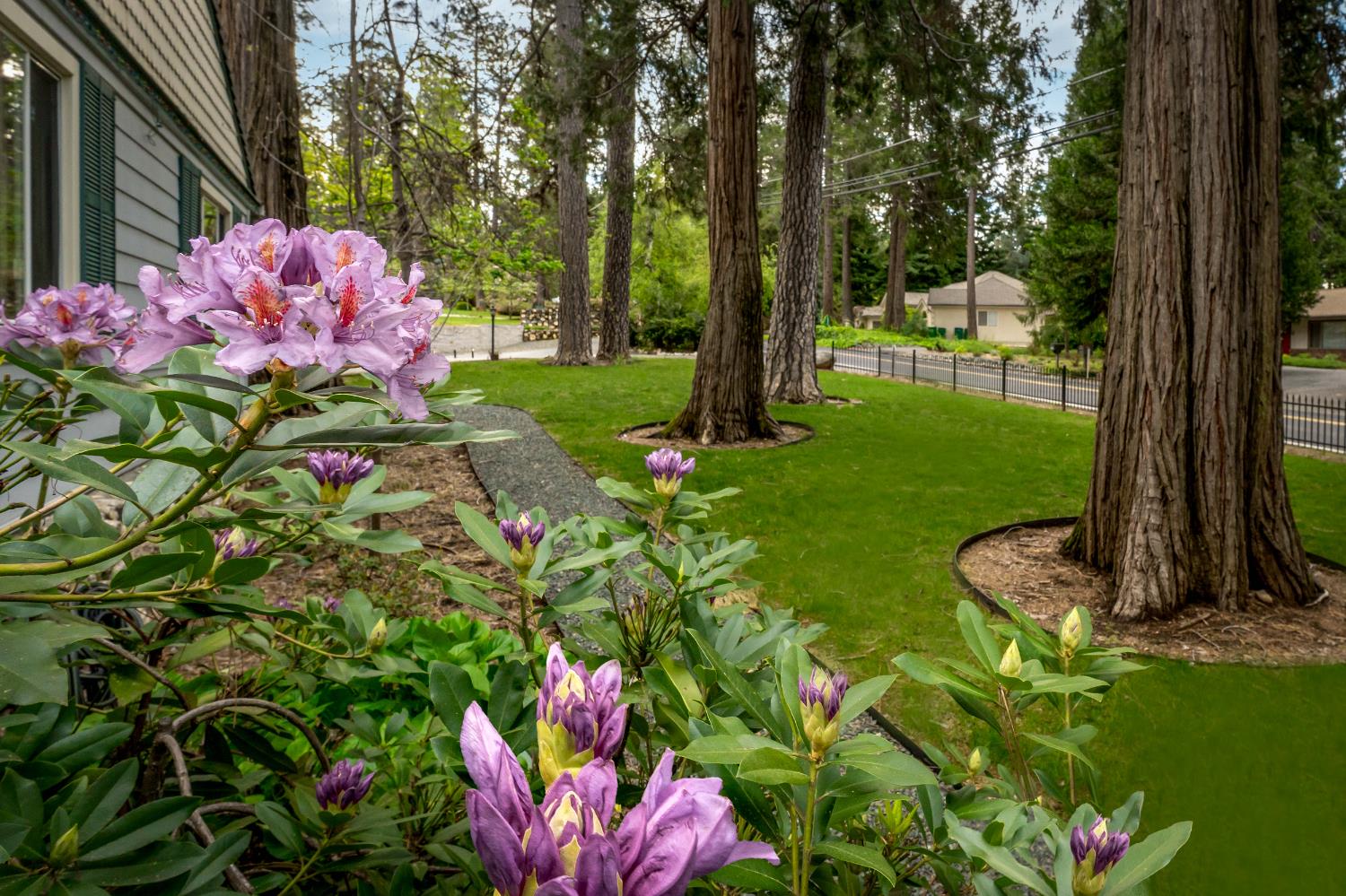 10340 Banner Lava Cap Road Nevada City, CA 95959 - Photo 26 of 98