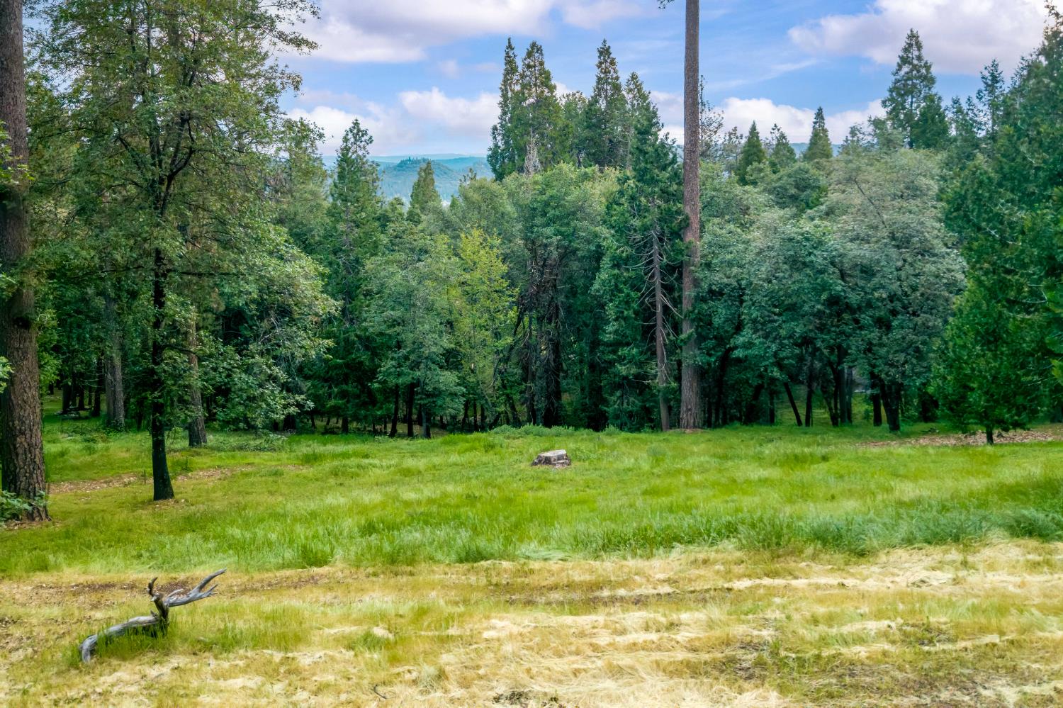 10340 Banner Lava Cap Road Nevada City, CA 95959 - Photo 95 of 98