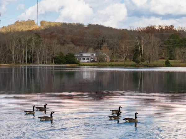 a view of a lake