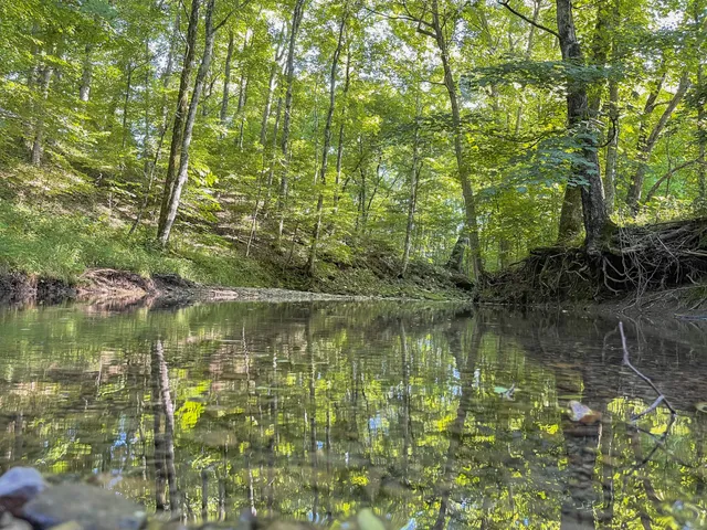 $11,000,000 | 6330 Cox Road, Arrington, TN 37014