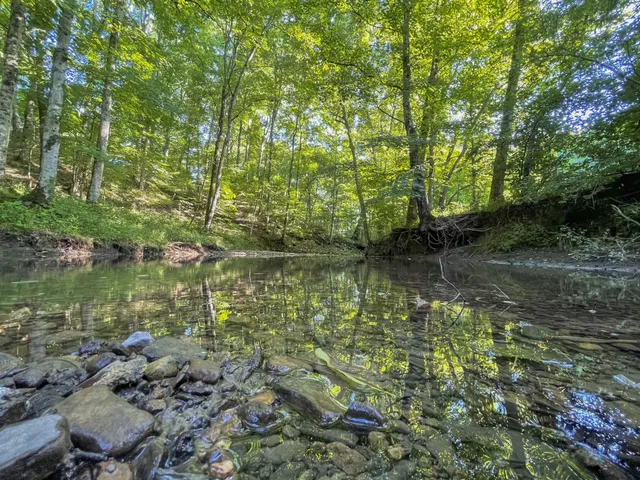 $11,000,000 | 6330 Cox Road, Arrington, TN 37014