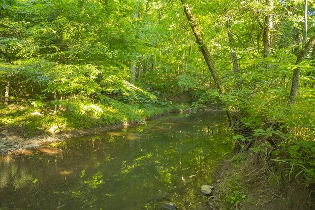 $11,000,000 | 6330 Cox Road, Arrington, TN 37014