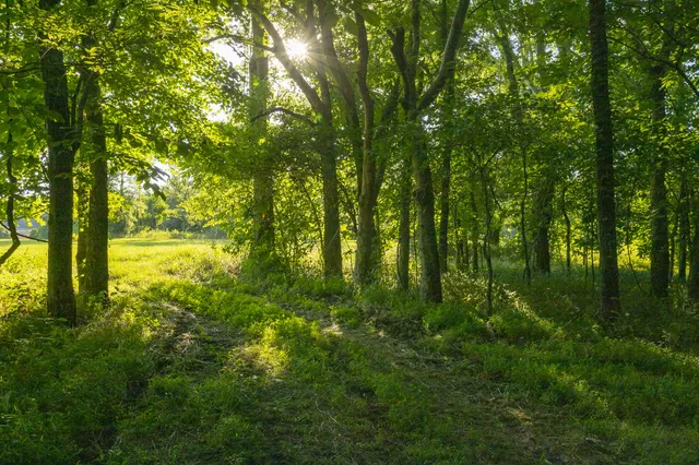 $11,000,000 | 6330 Cox Road, Arrington, TN 37014