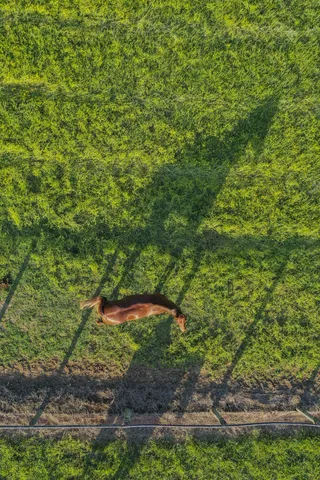 $11,000,000 | 6330 Cox Road, Arrington, TN 37014