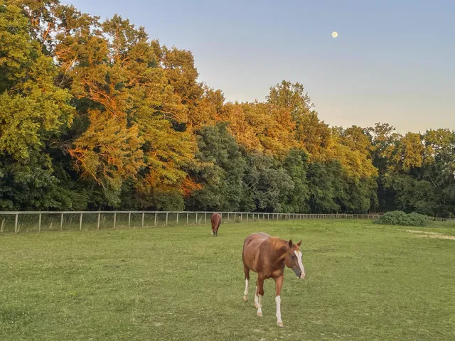 $11,000,000 | 6330 Cox Road, Arrington, TN 37014