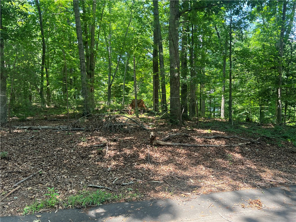 0 Promontory Ridge, Unit LOT 45 STILLWATER Seneca, SC 29672 - Photo 4 of 26