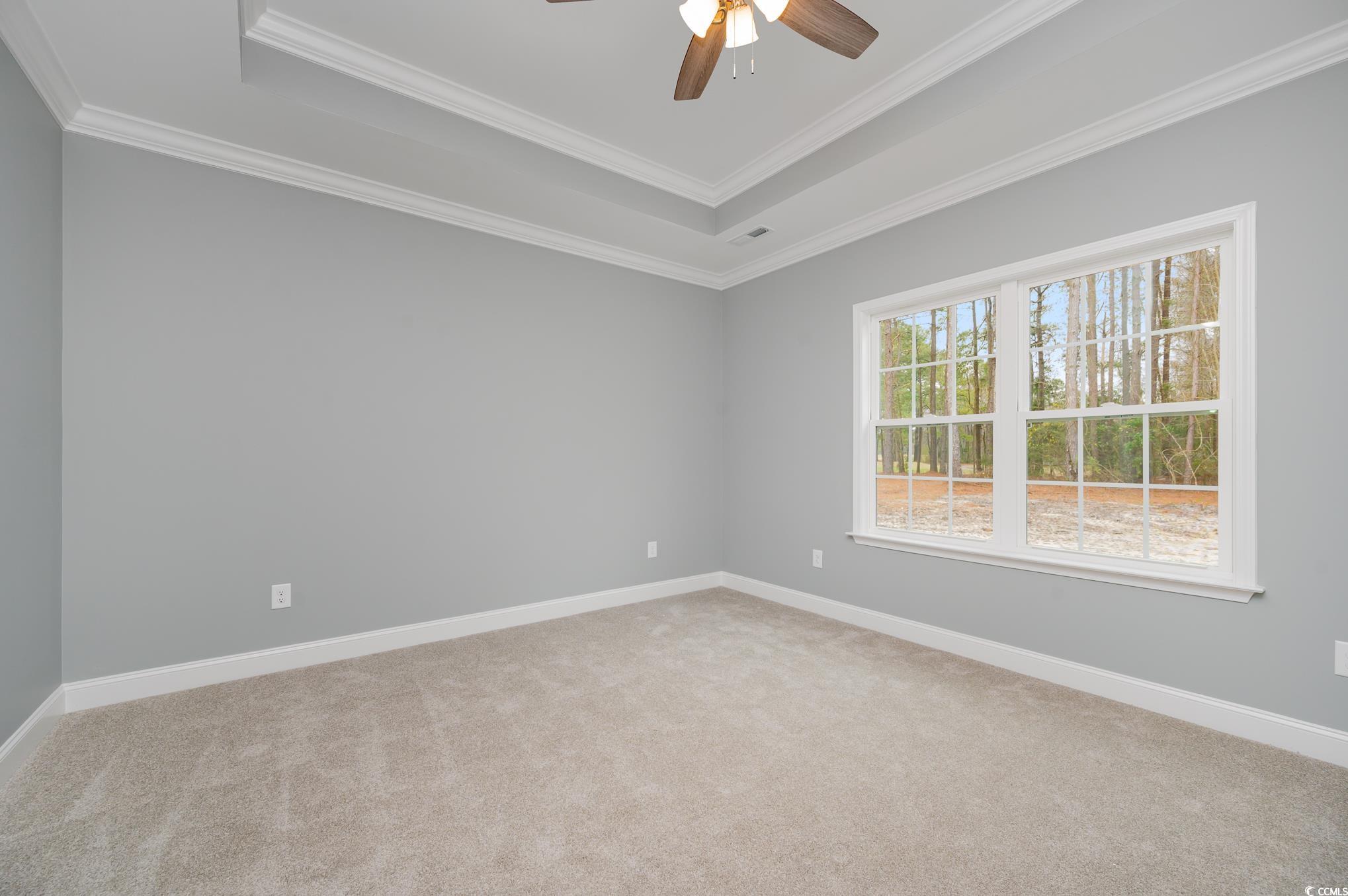 357 Log Cabin Road Loris, SC 29569 - Photo 15 of 27 Spare room featuring carpet, a tray ceiling, and o