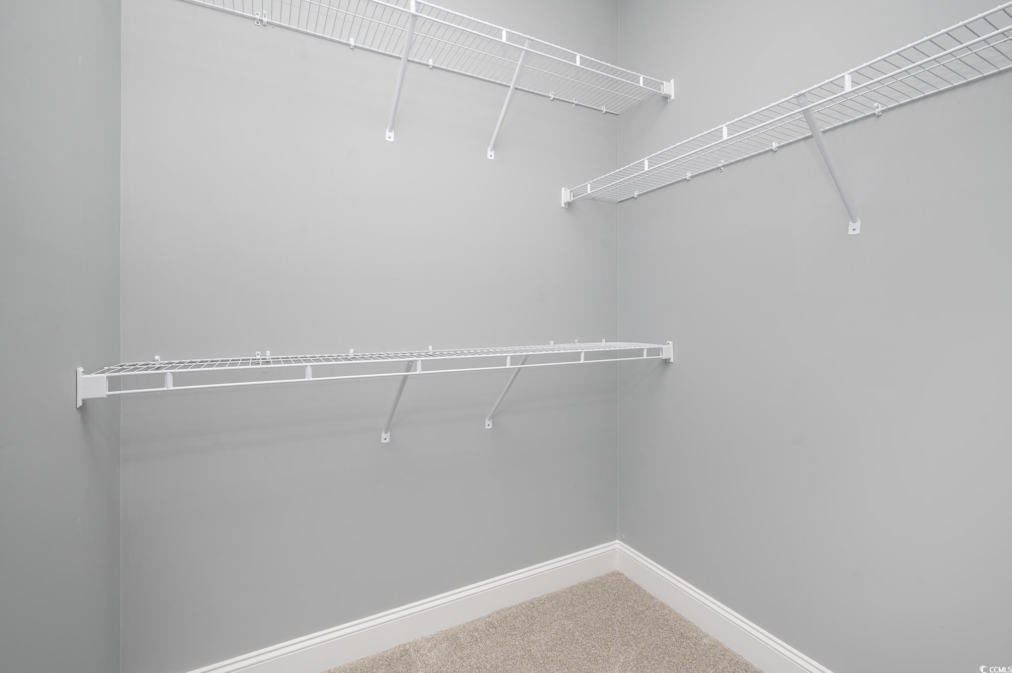 357 Log Cabin Road Loris, SC 29569 - Photo 18 of 27 Spacious closet with carpet floors