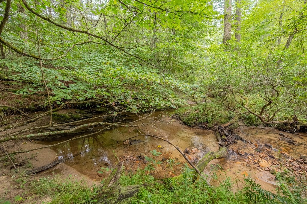968 Coleman Ridge Road Galax, VA 24333 - Photo 72 of 75 Gallery Image 72