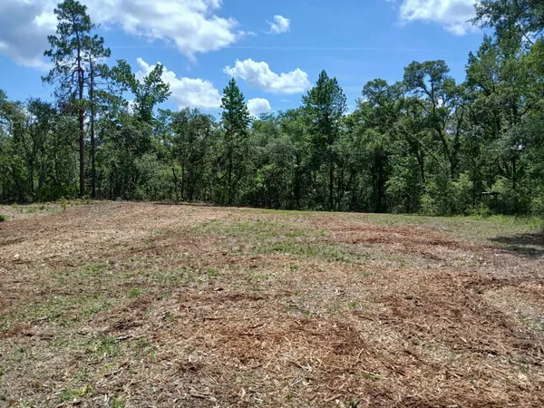 $18,000 | Lot 63 Northwest 21st Place, Jasper, FL 32052