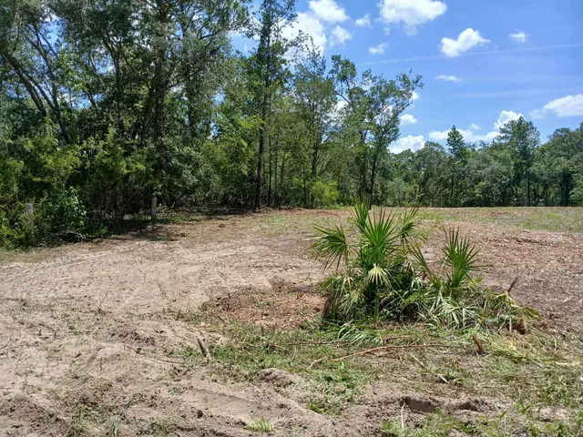 $18,000 | Lot 63 Northwest 21st Place, Jasper, FL 32052