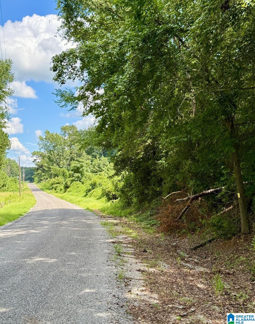 0 Oakdale Road, Unit 1 Alpine, AL 35014 - Photo 5 of 5