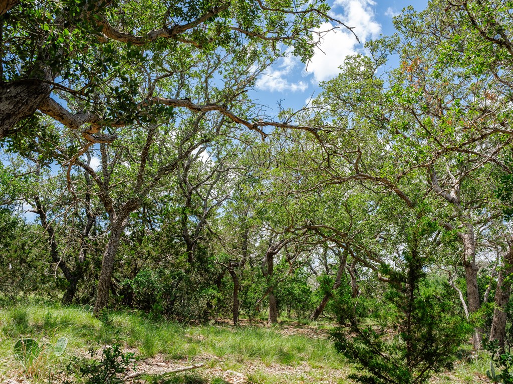 1632 Link, Unit 12 Doss, TX 78618 - Photo 19 of 25