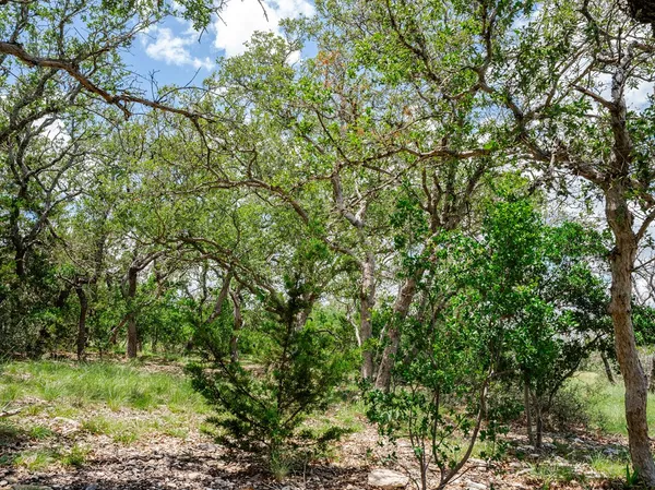 $159,665 | 1632 Link, Unit 12, Doss, TX 78618