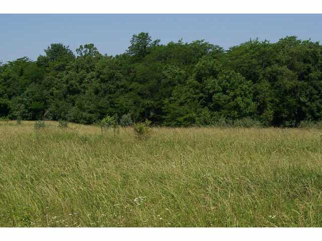 0 Shoemaker Road, Unit LOT 9 Circleville, OH 43113 - Photo 3 of 3 Gallery Image 3