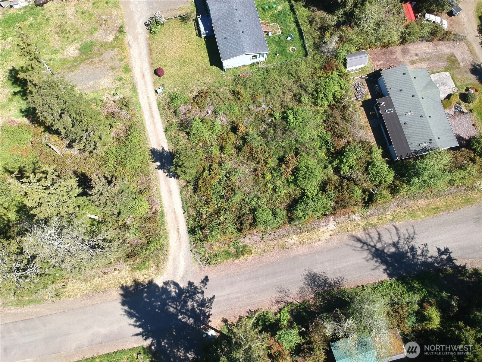 0 219th Street Ocean Park, WA 98640 - Photo 11 of 13 a picture of flowers