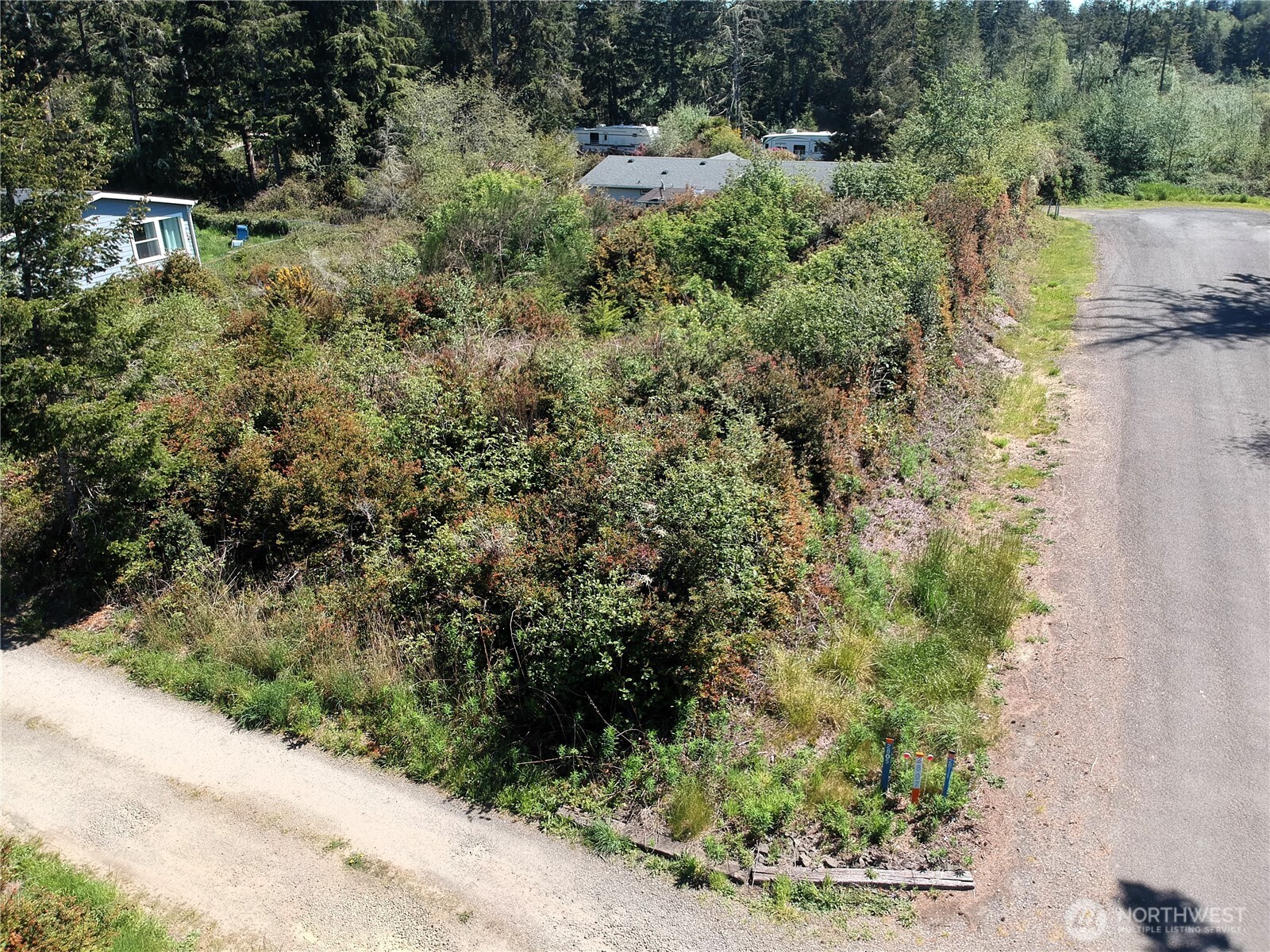 0 219th Street Ocean Park, WA 98640 - Photo 12 of 13 a view of a forest with a street