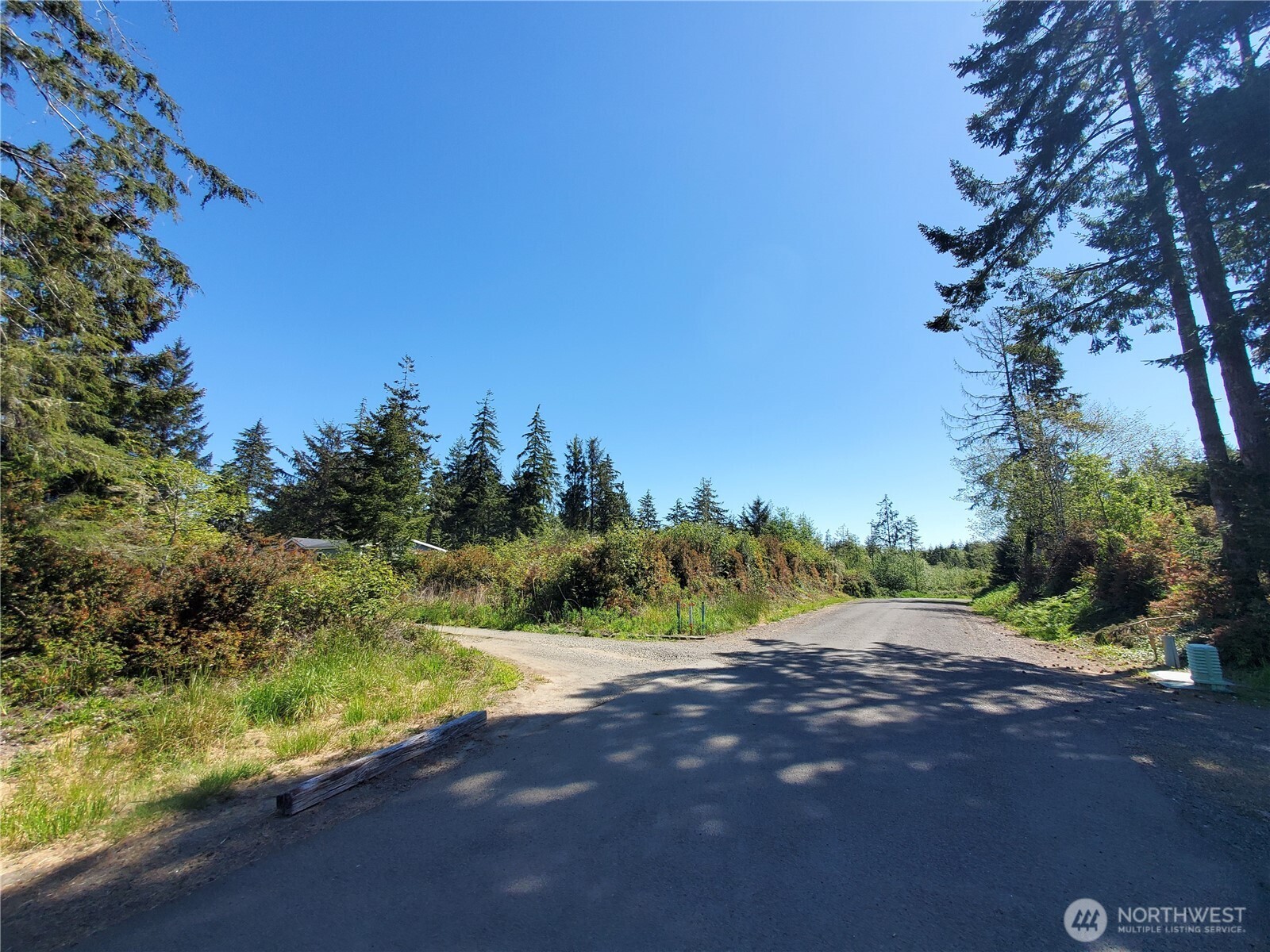 0 219th Street Ocean Park, WA 98640 - Photo 4 of 13 a view of a yard with a tree
