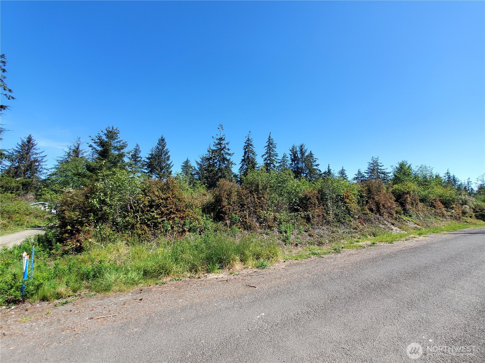 0 219th Street Ocean Park, WA 98640 - Photo 6 of 13 a view of a road with a plant