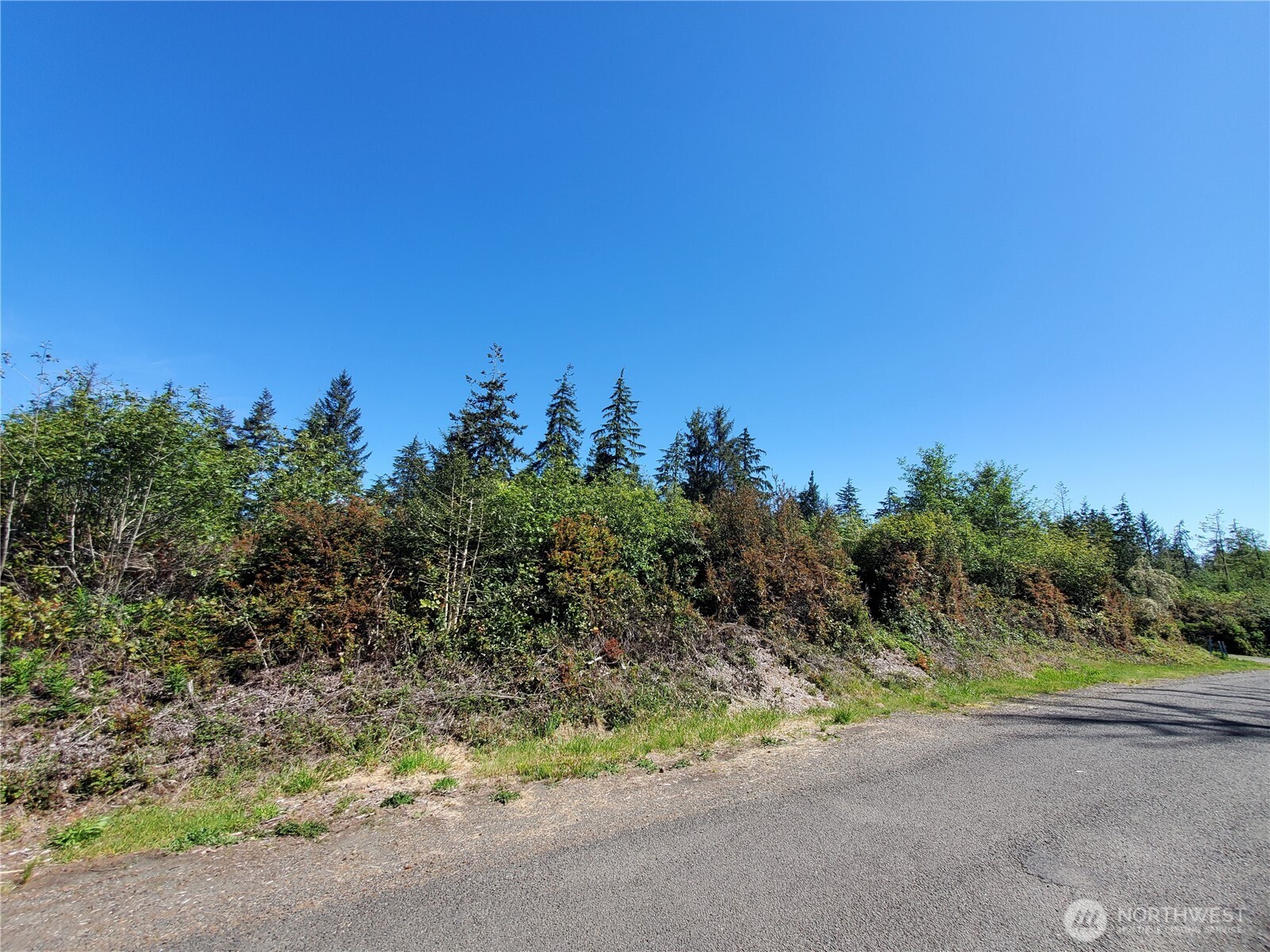 0 219th Street Ocean Park, WA 98640 - Photo 8 of 13 a view of a road with a garden