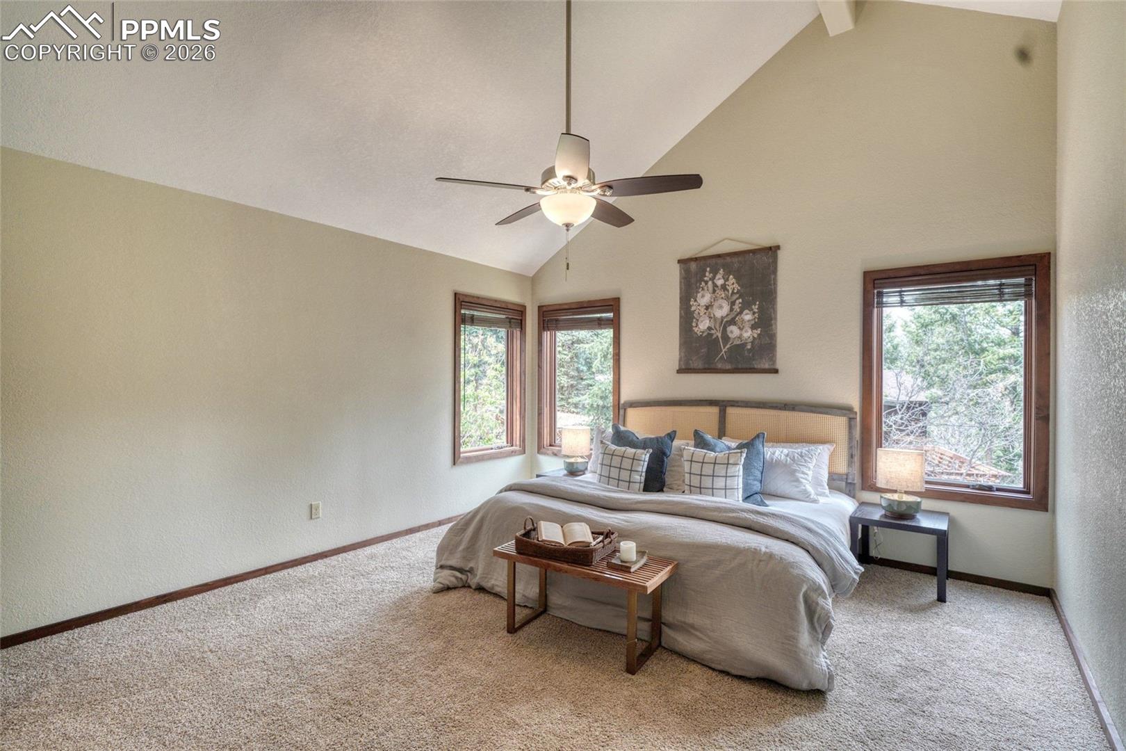 9340 Maveta Road Cascade, CO 80809 - Photo 19 of 49 Gallery Image 19