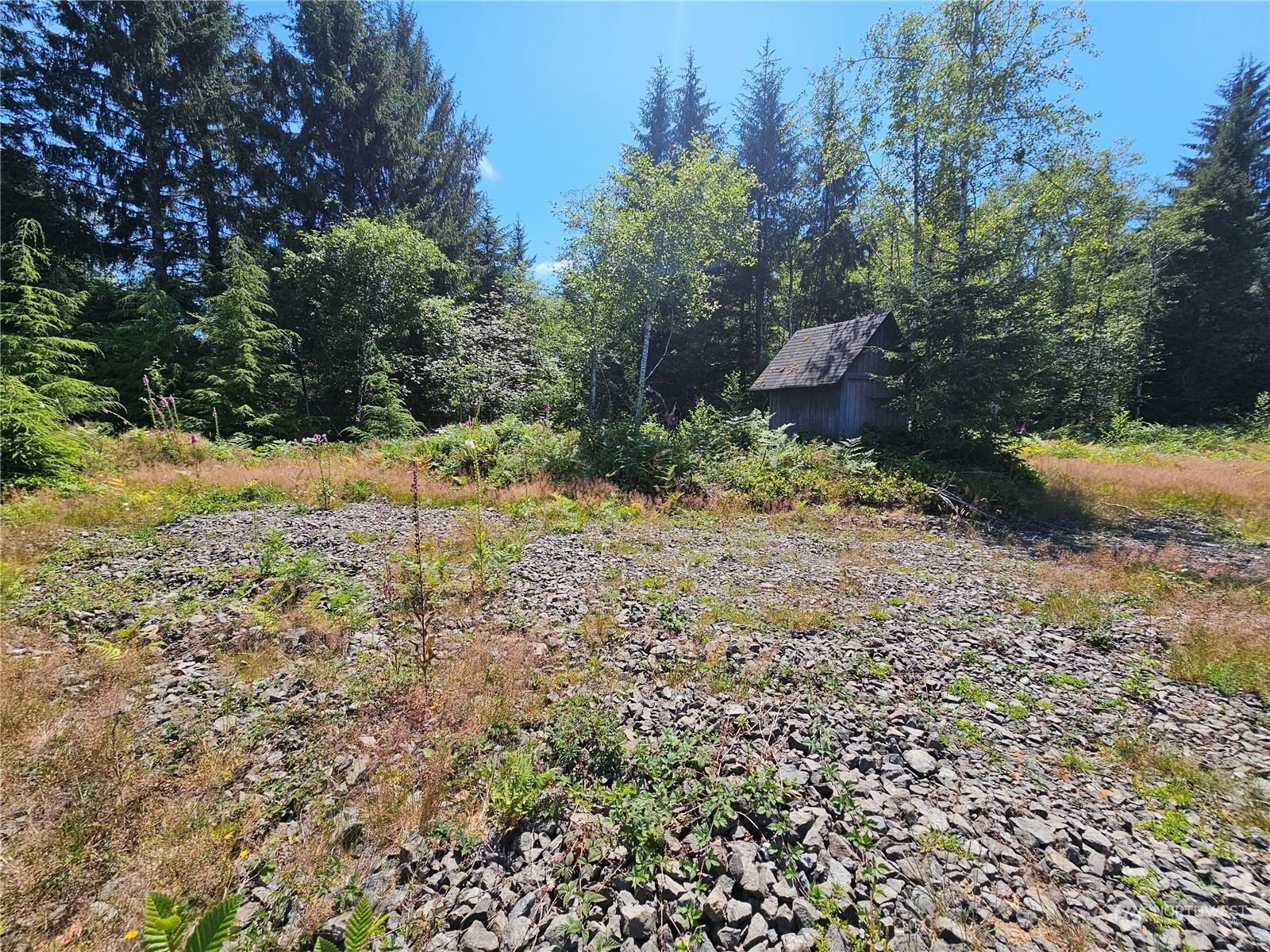 183 Rixon Road South Bend, WA 98586 - Photo 2 of 17 Gallery Image 2