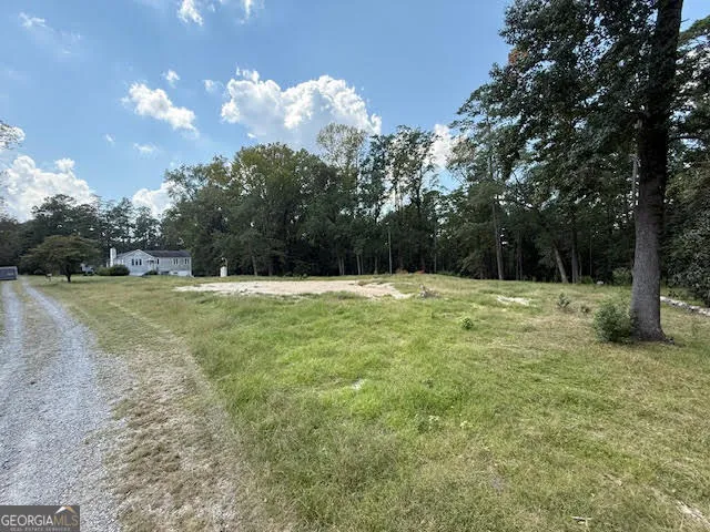 a view of a green field with trees in the background