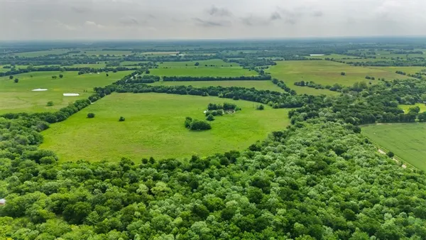 a view of a green field with lots of green space