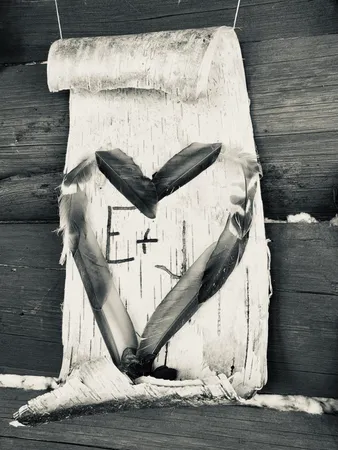 $825,000 | 8 Cove Road, Princeton, ME 04668