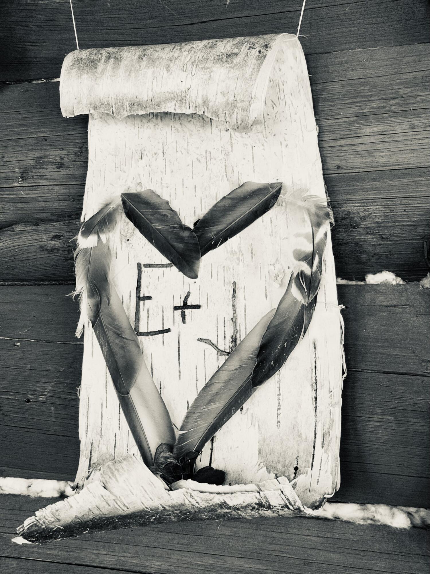 8 Cove Road Princeton, ME 04668 - Photo 40 of 77 Local Artwork