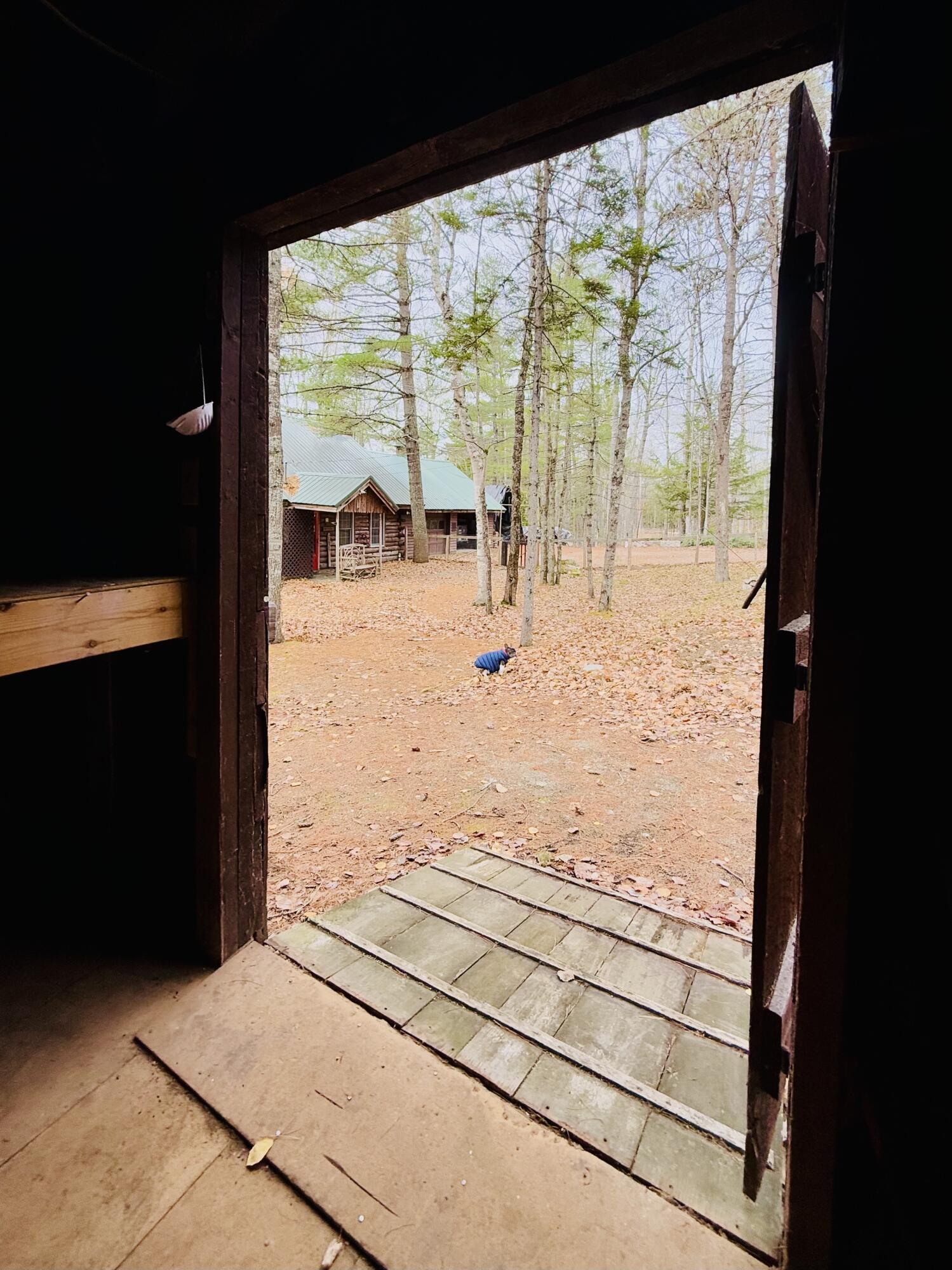 8 Cove Road Princeton, ME 04668 - Photo 71 of 77 Looking from Bunk house toward house.