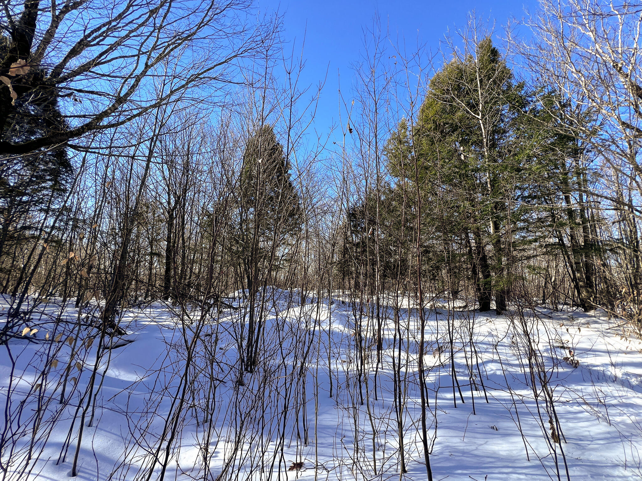 575 West Old Main Road Lowell, ME 04493 - Photo 16 of 16 IMG_2951