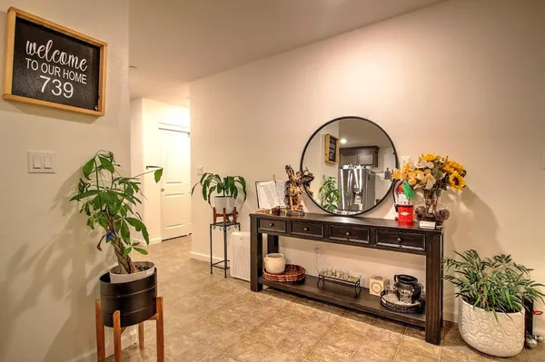 a living room with furniture and a potted plant