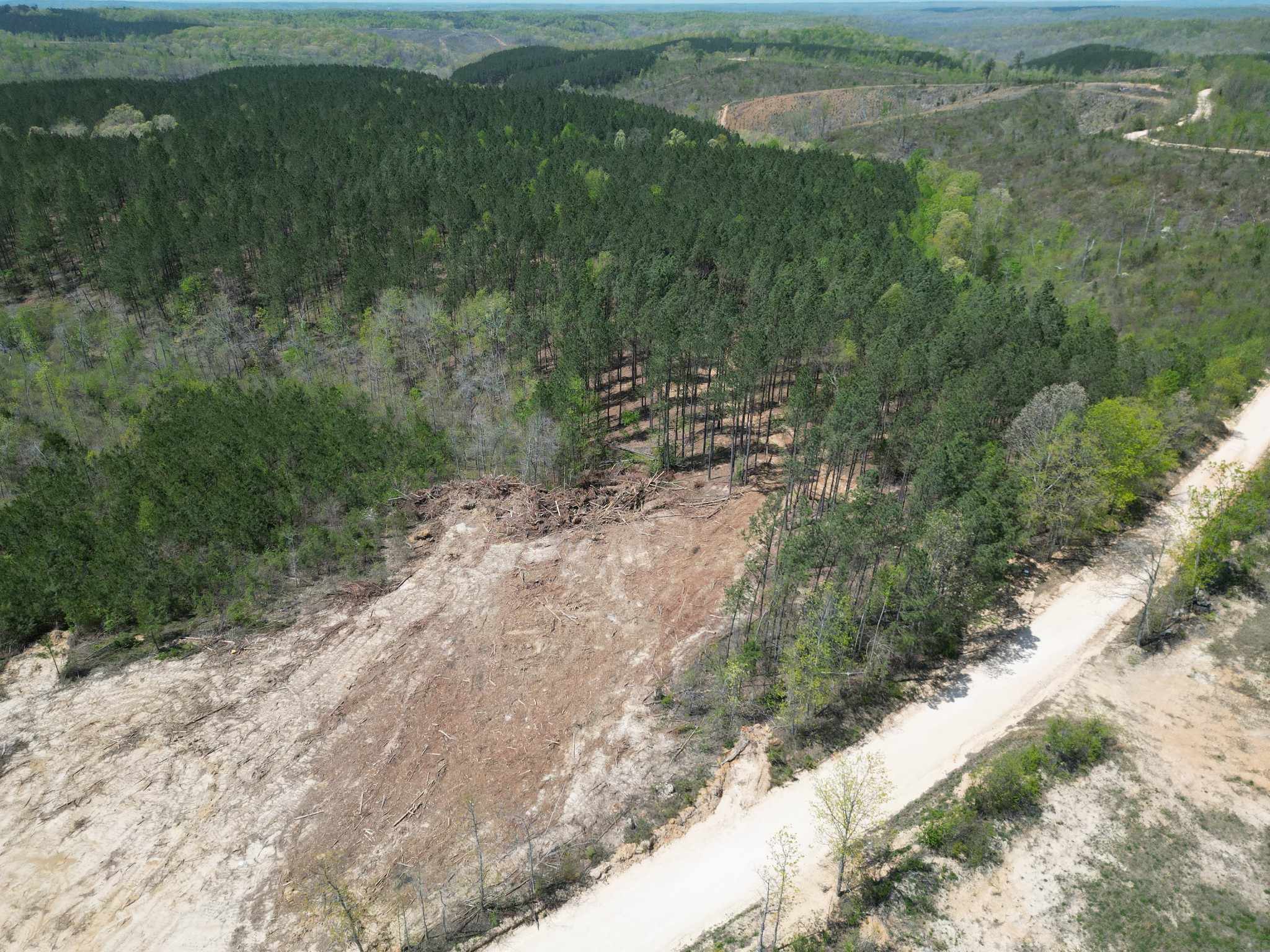 B Toll Hollow Road Waynesboro, TN 38485 - Photo 3 of 8 a view of a lush green space with sea