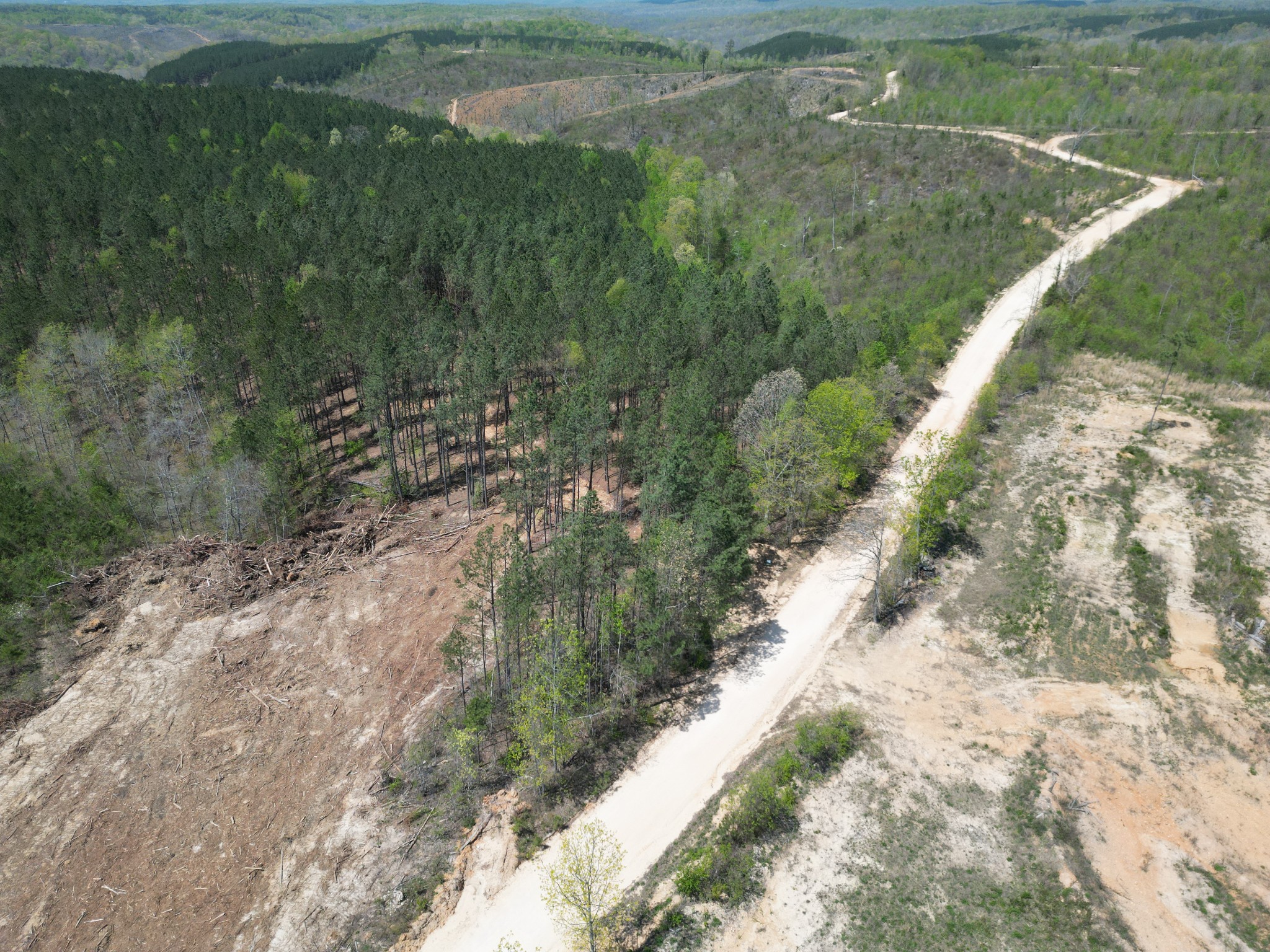 B Toll Hollow Road Waynesboro, TN 38485 - Photo 6 of 8 a view of a lake with a yard